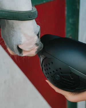 bike helmet crash replacement AWE FREE 5 YEAR REPLACEMENT* BMX Full Face Black Large 58-60cm Sports & Outdoors Get your Cruz on Whether to replace a crashed