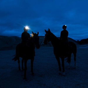 Lightweight rechargeable headlight with 700 lumens, multiple light modes, USB charging, waterproof IP68, and flexible attachment for outdoor use